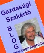 Gazdasági szakértő Blog a Könyvvizsgáló üzleti témájú írásai menedzsereknek és gazdasági szakembereknek Gazdasági szakértő Blog a Könyvvizsgáló üzleti témájú írásai menedzsereknek és gazdasági szakembereknek